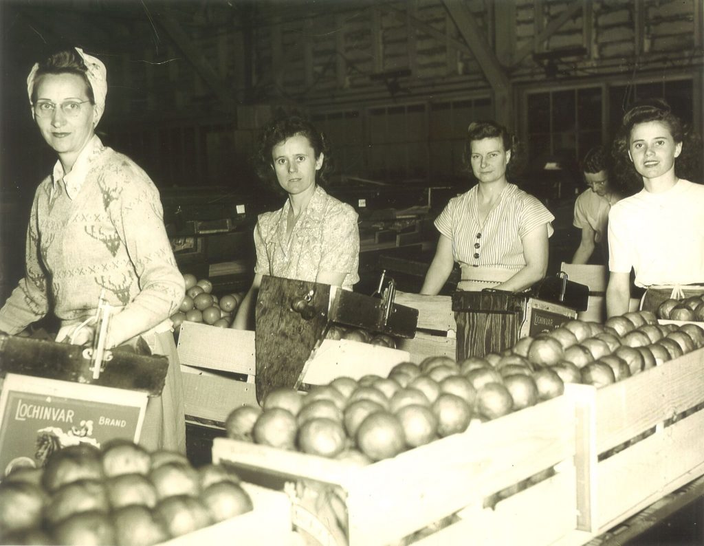 Photo of women in a citrus packing shed