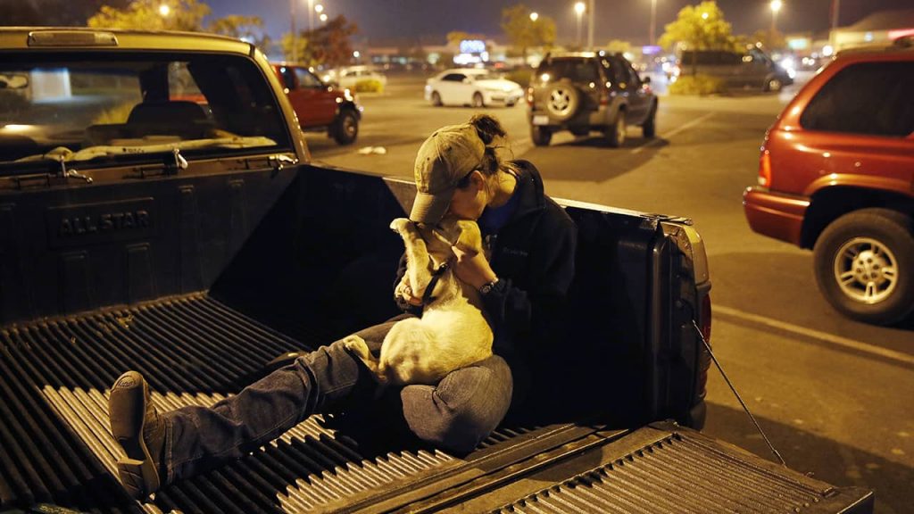 Photo of a Paradise fire survivor and her dog in the bed of a pickup truck