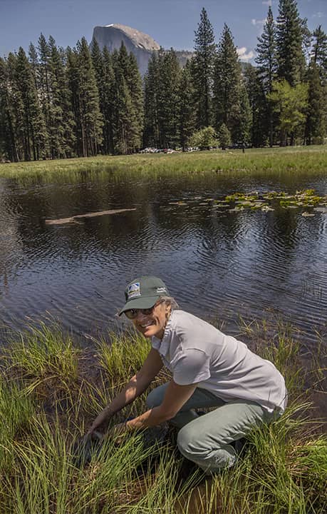 Photo of Greenleaf, Projects Director, Yosemite Conservancy