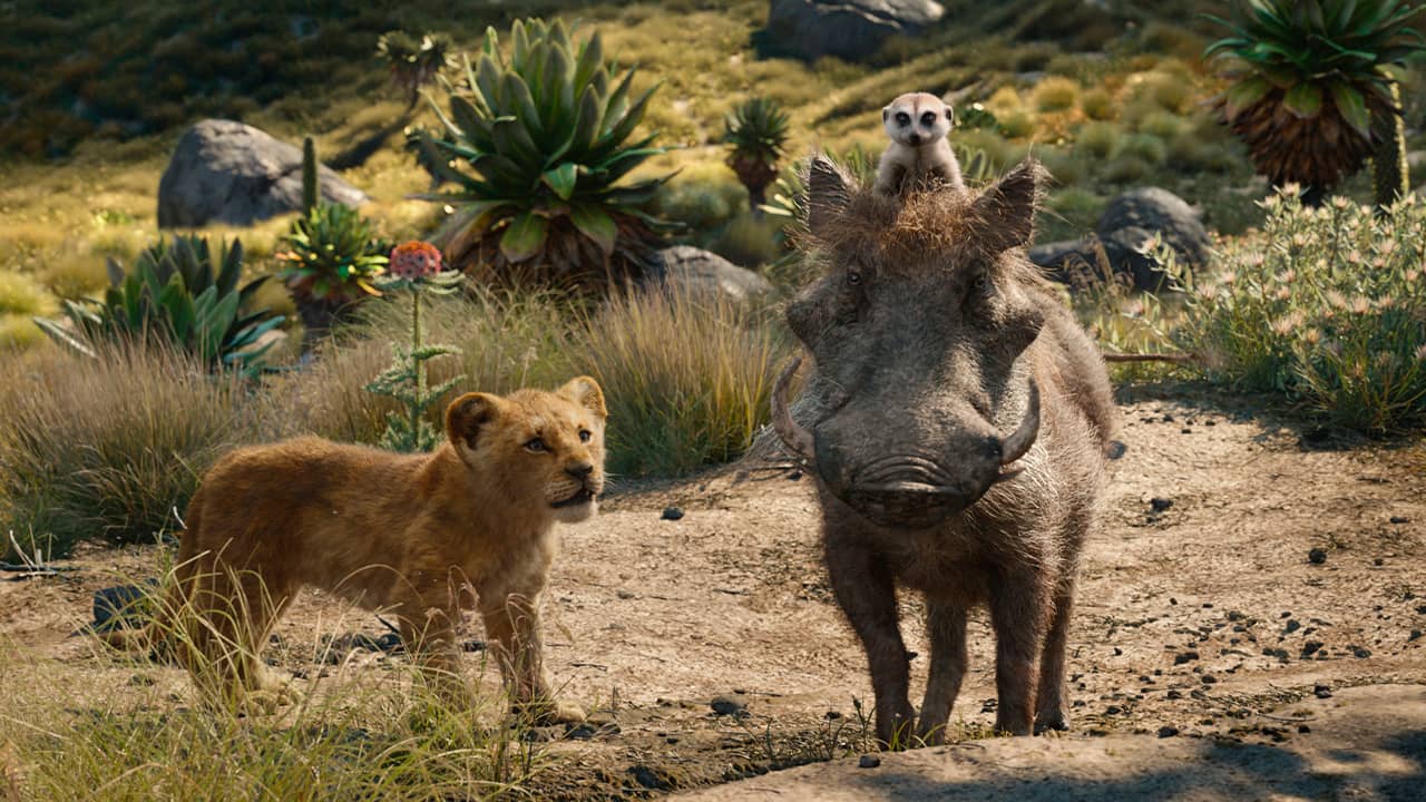 Photo of a scene from "The Lion King"
