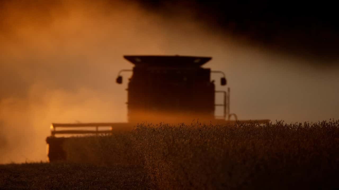 Photo of a tractor harvesting soy beans