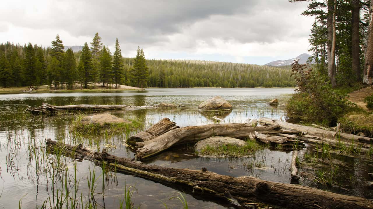 Photo of Dog Lake, Yosemite