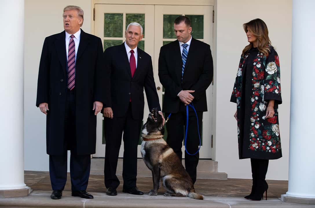 Photo of President Donald Trump, VP Mike Pence, first lady Melania Trump, standing with Conan, the U.S. Army dog