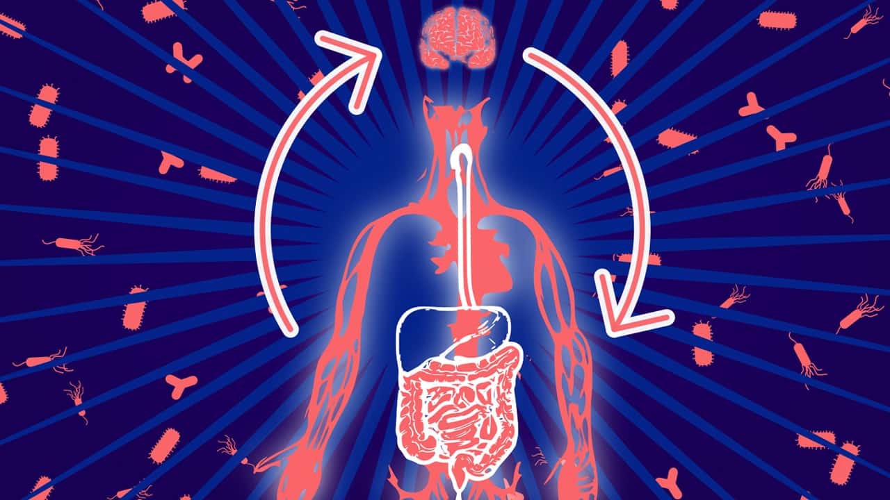 Photo of body diagram