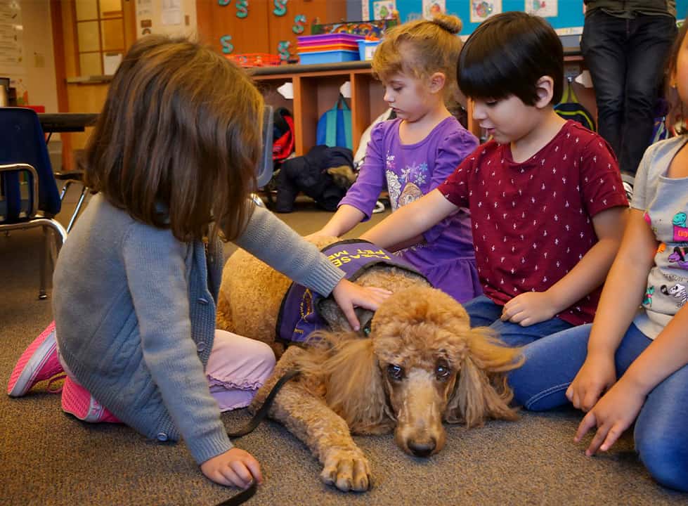 Photo of children with Rudy the therapy dog
