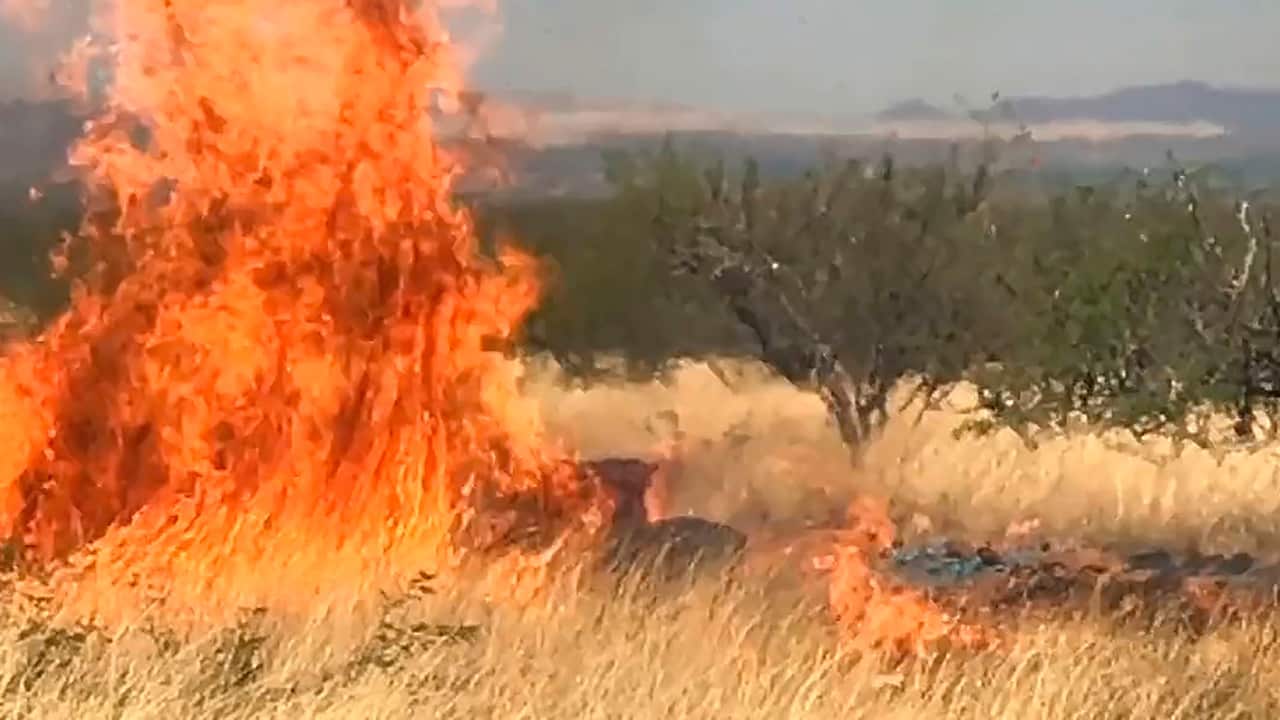 Photo of a gender reveal party fire