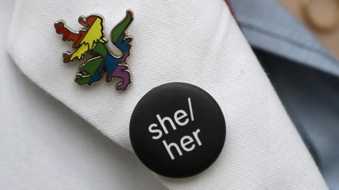 Photo of a button resembling a Harvard School of Medicine coat of arms lion, in rainbow colors that symbolize LGBTQ pride, left, and a button featuring pronouns