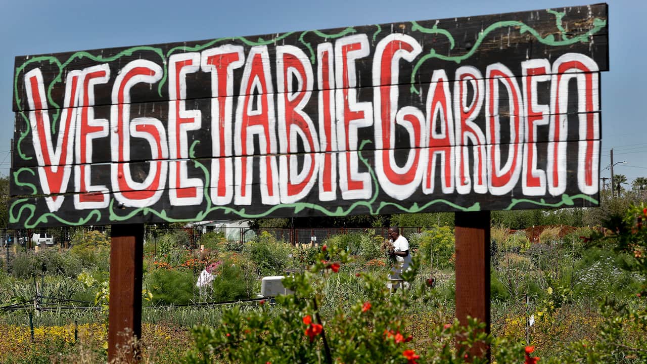 Photo of a sign that says "Vegetable Garden"