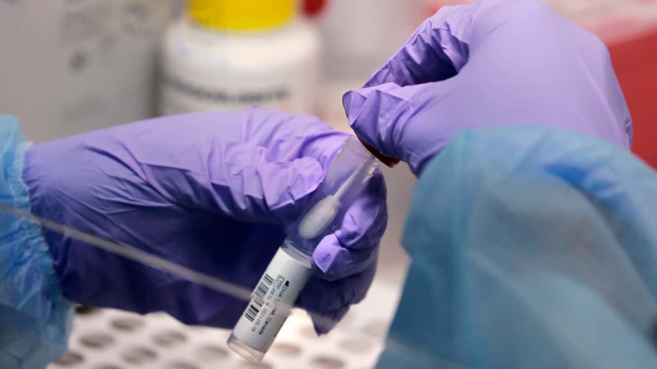 Photo of a COVID test swab