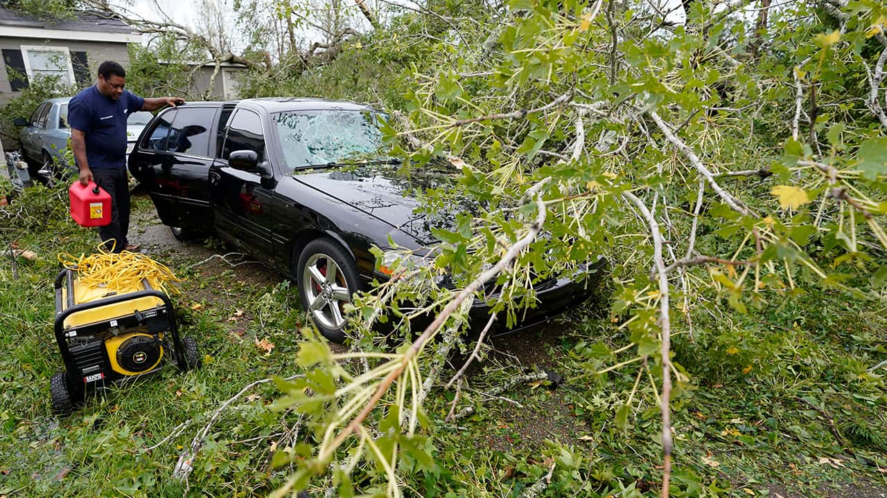 Photo of a tree fallen on a car because of Hurricane Laura