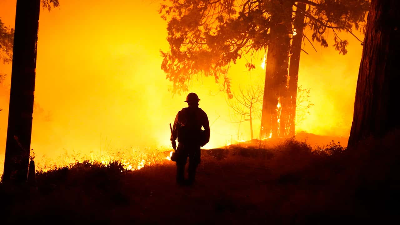 Photo of the Creek Fire