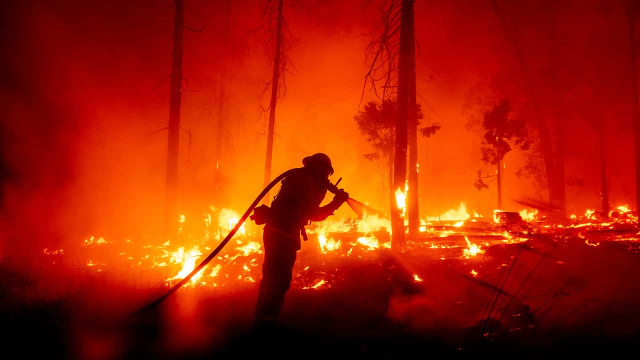 Photo of the Creek Fire